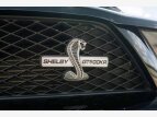 Thumbnail Photo 10 for 2009 Ford Mustang Shelby GT500